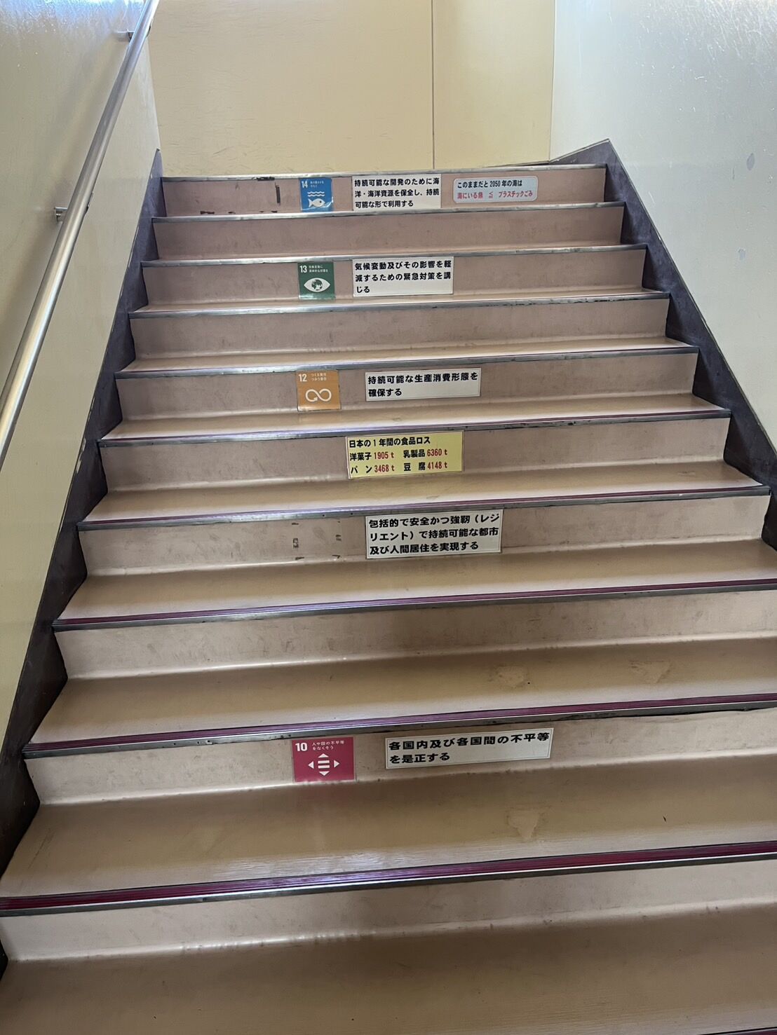 改修工事中の野田市中学校の養生撤去とクリーニングを行いました