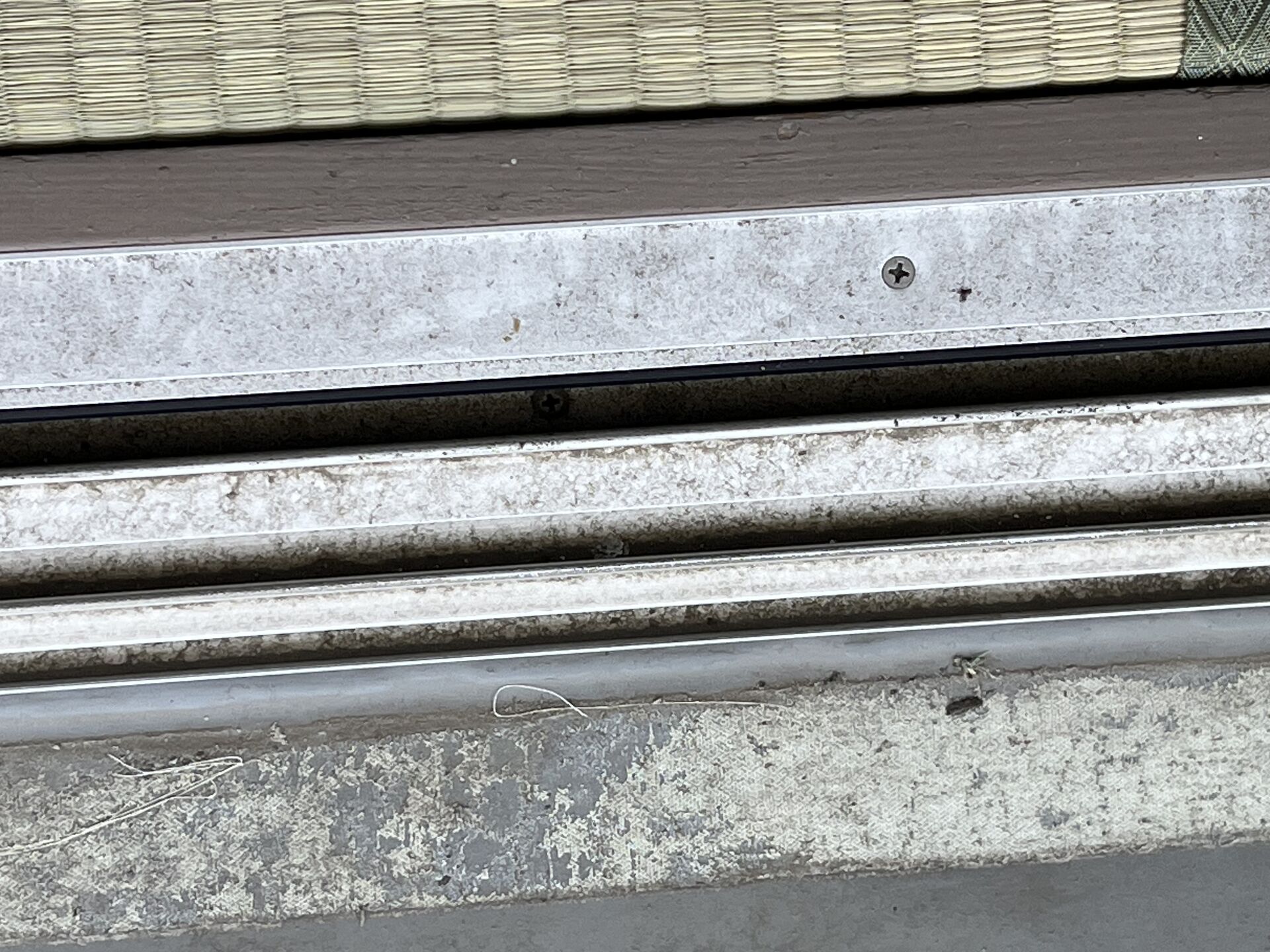 千葉県船橋市内公営団地のクリーニングを行いました