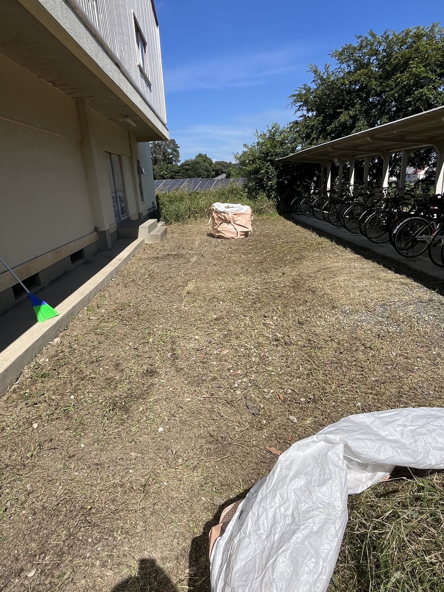 千葉県野田市内の中学校で草刈りを行いました