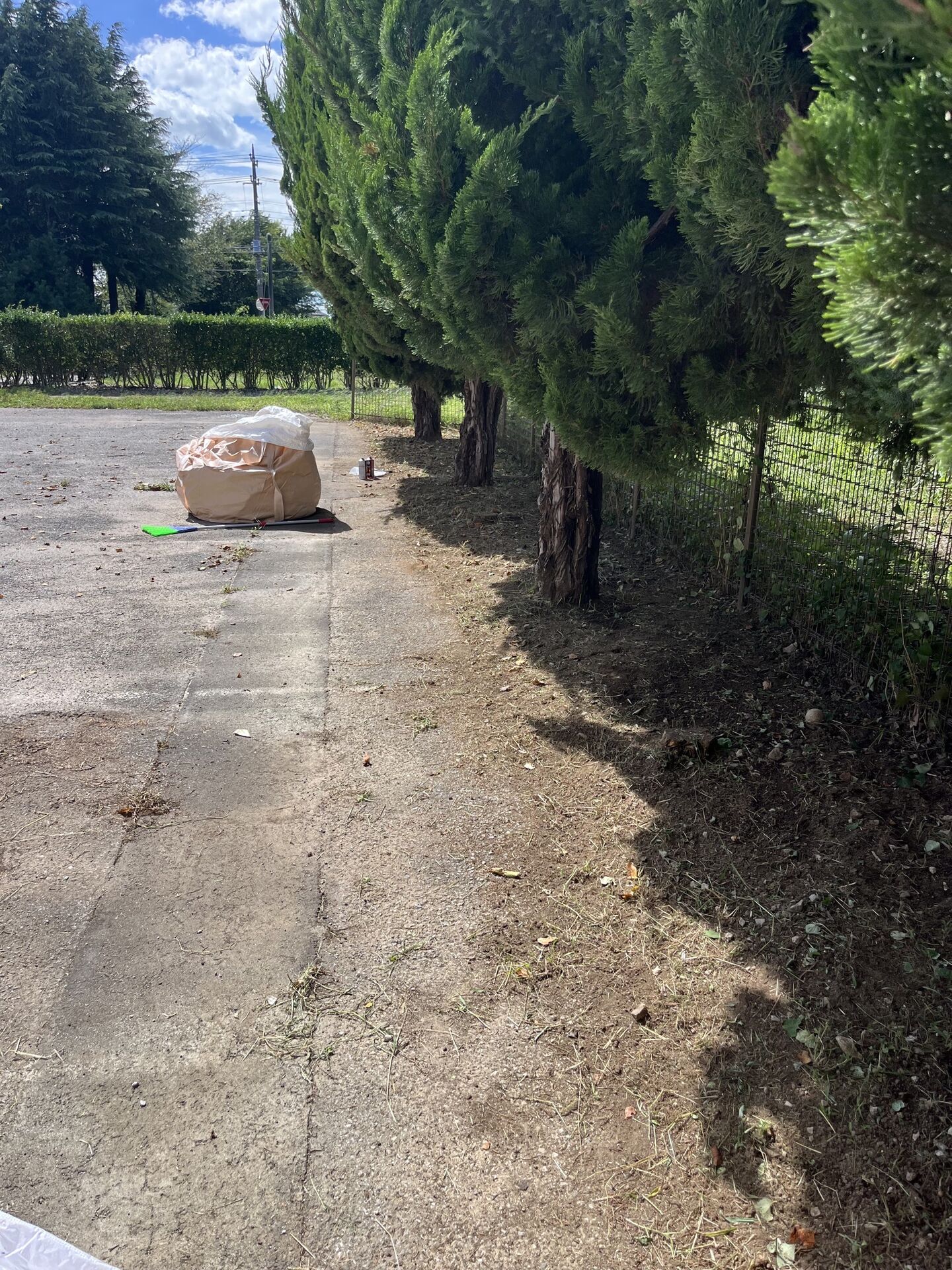 千葉県野田市内の中学校で草刈りを行いました