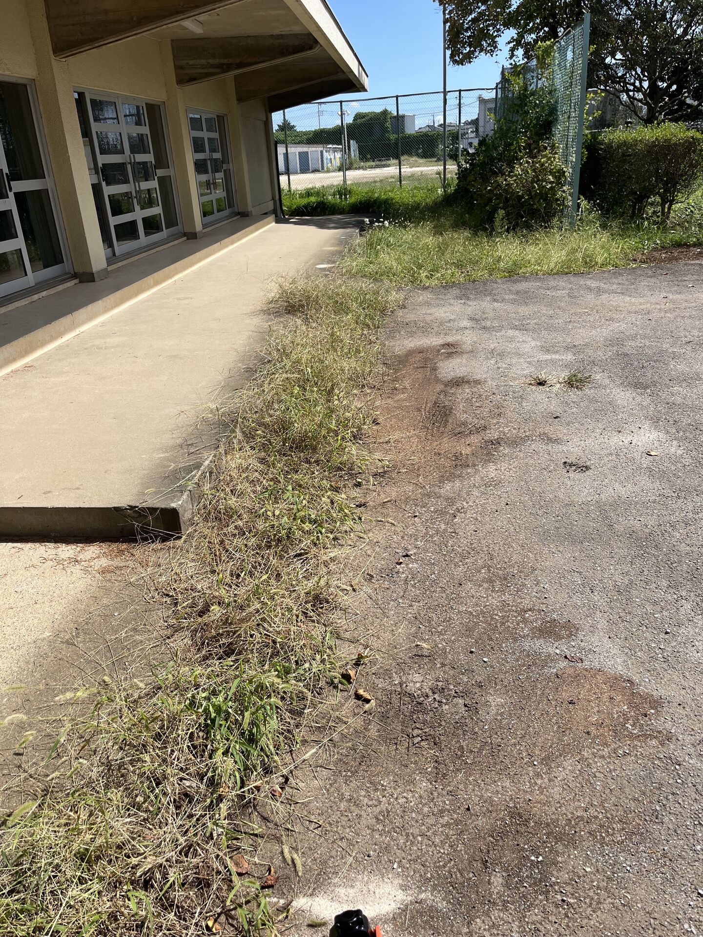 千葉県野田市内の中学校で草刈りを行いました