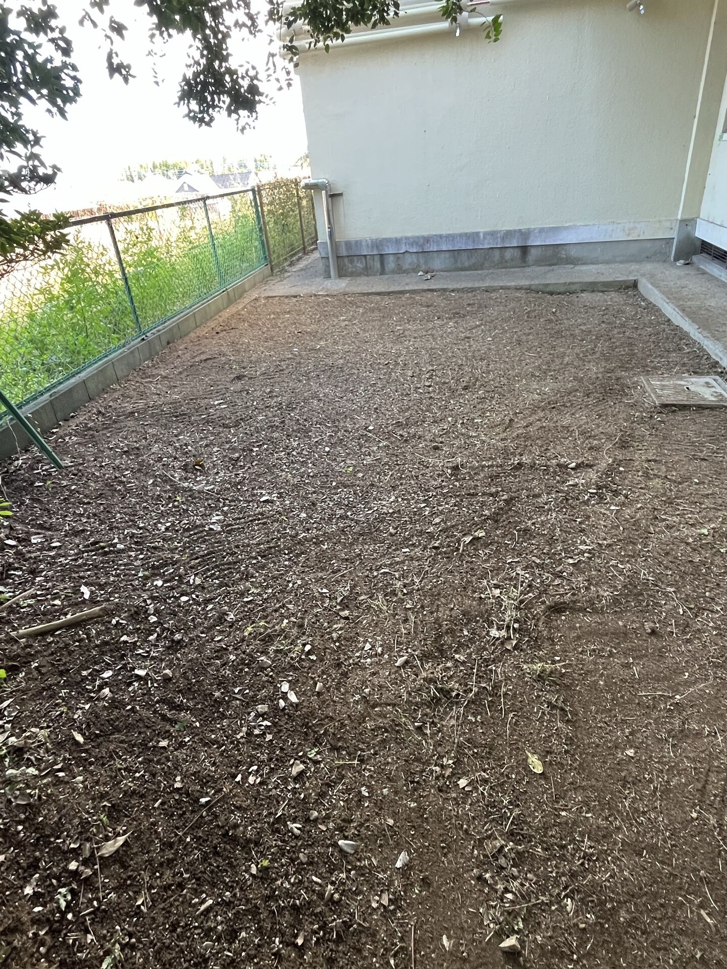 千葉県野田市の中学校にて草刈りを行いました
