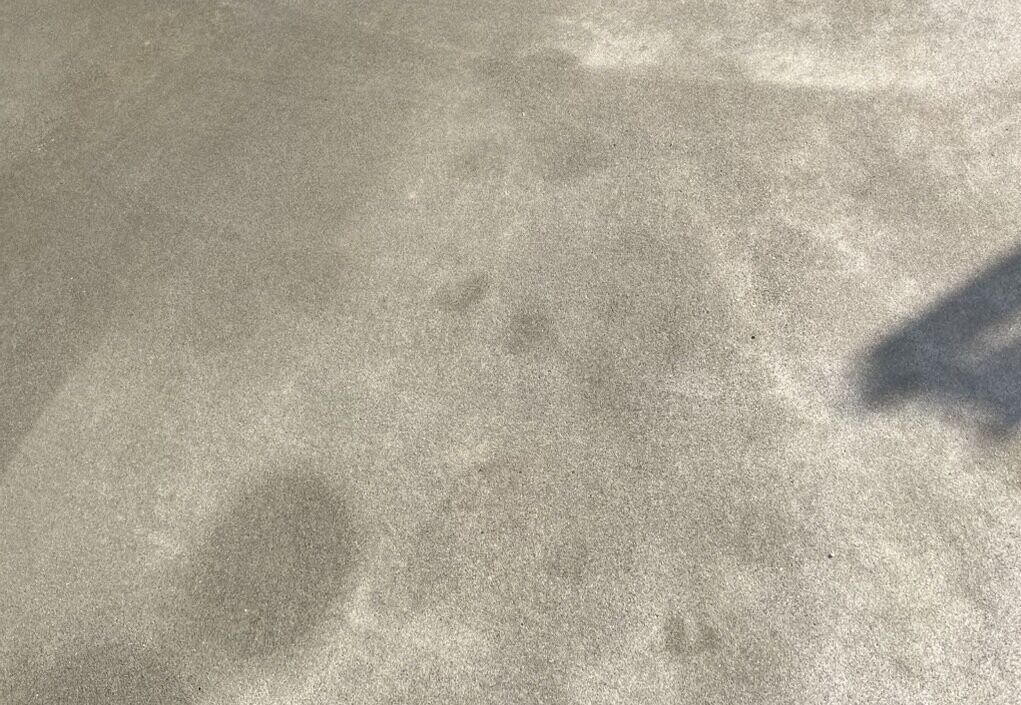 埼玉戸建て庭コンクリート清掃の様子