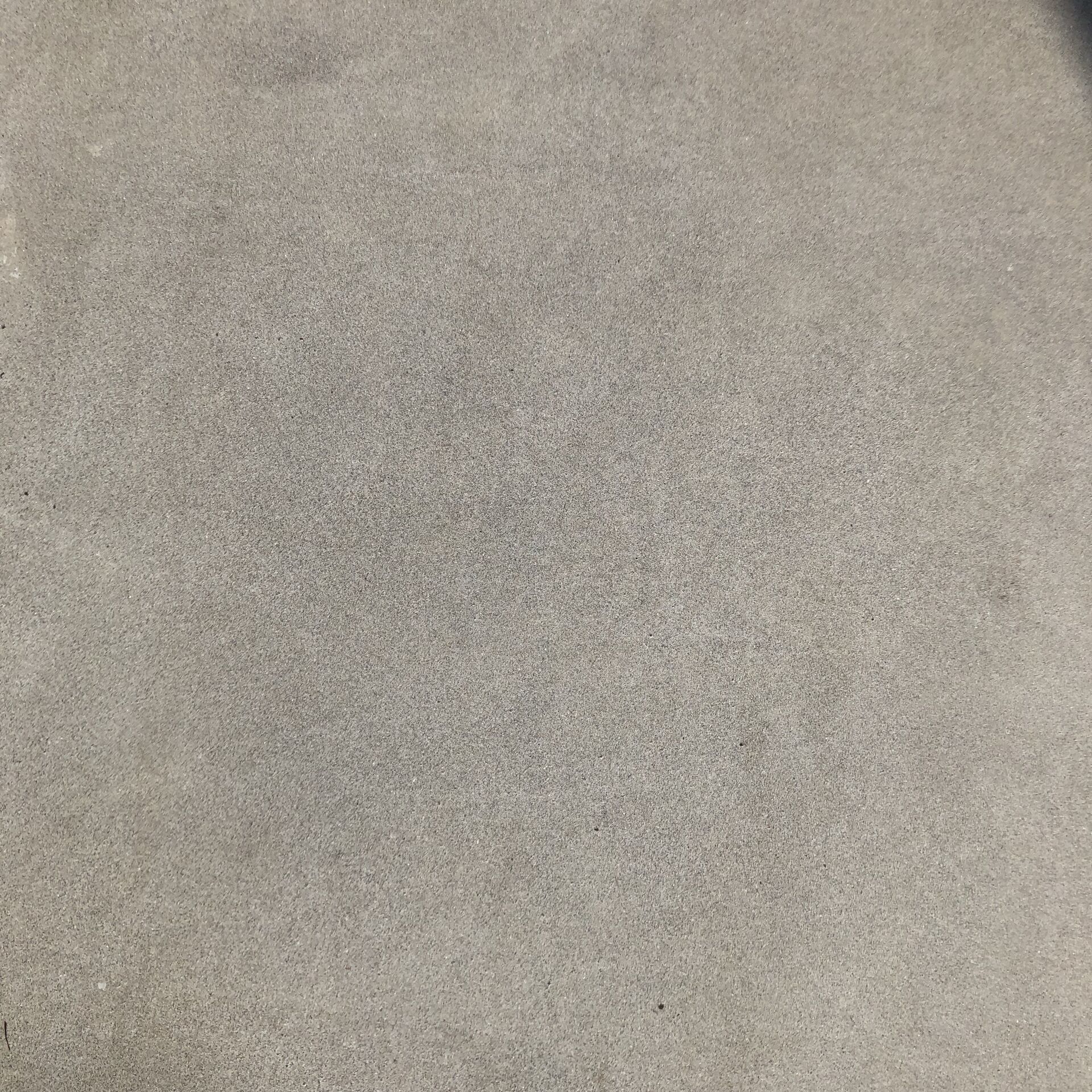 埼玉戸建て庭コンクリート清掃の様子